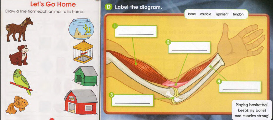 Worksheet skyteach