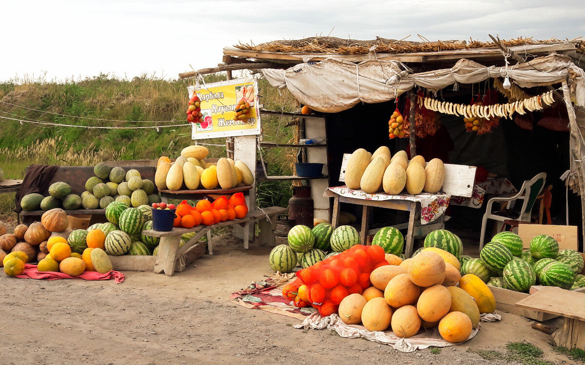 Маленькие дыни продают упаковками по 6 штук