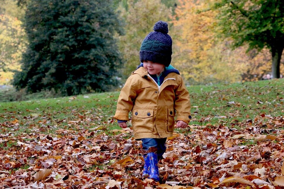 https://pixabay.com/photos/child-cute-outdoor-autumn-fall-1031171/