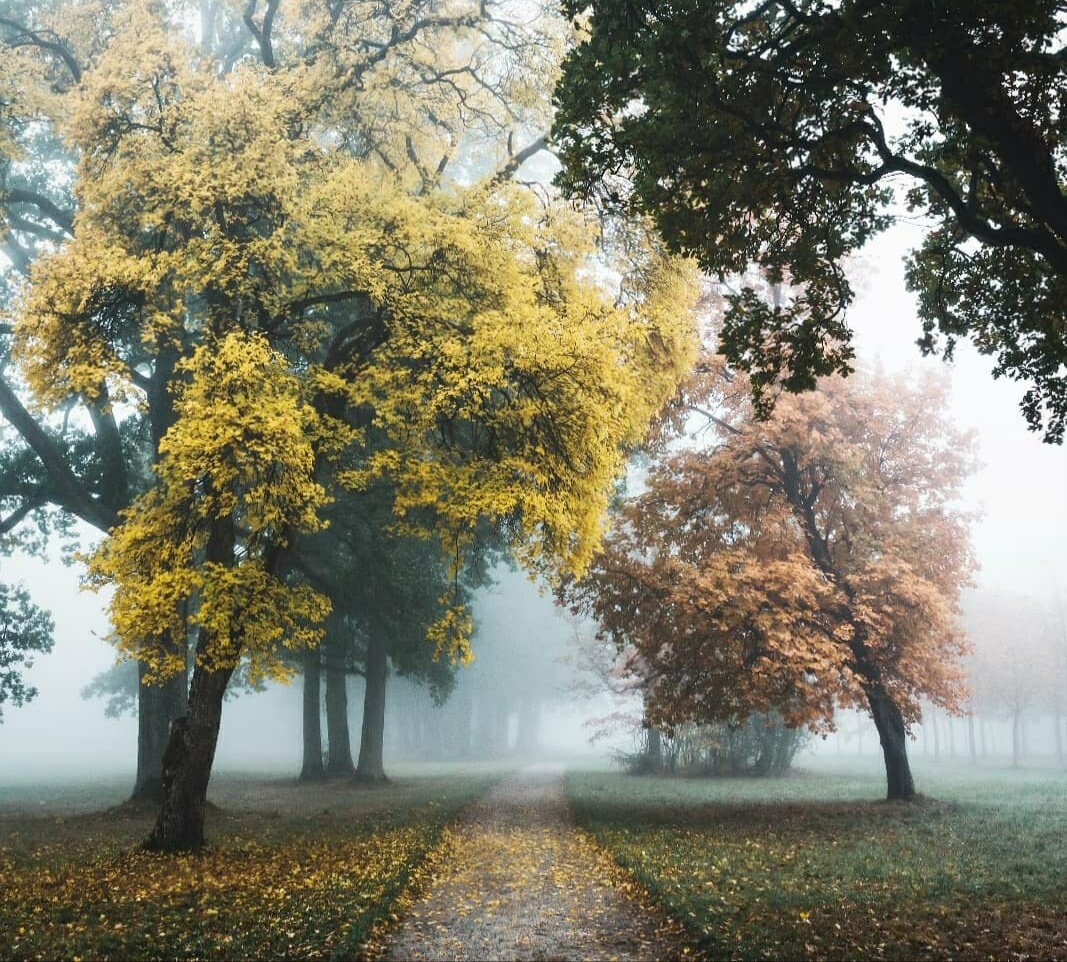 Pinterest.ru