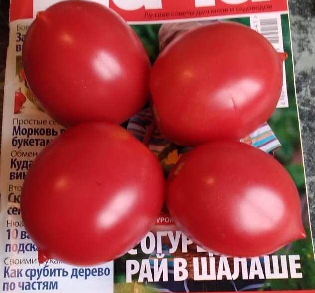 Де-барао царский