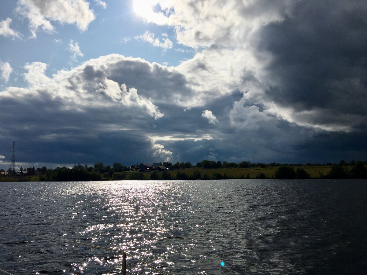 Остров зеленый Шекснинское водохранилище. Шексна. Река Шексна.