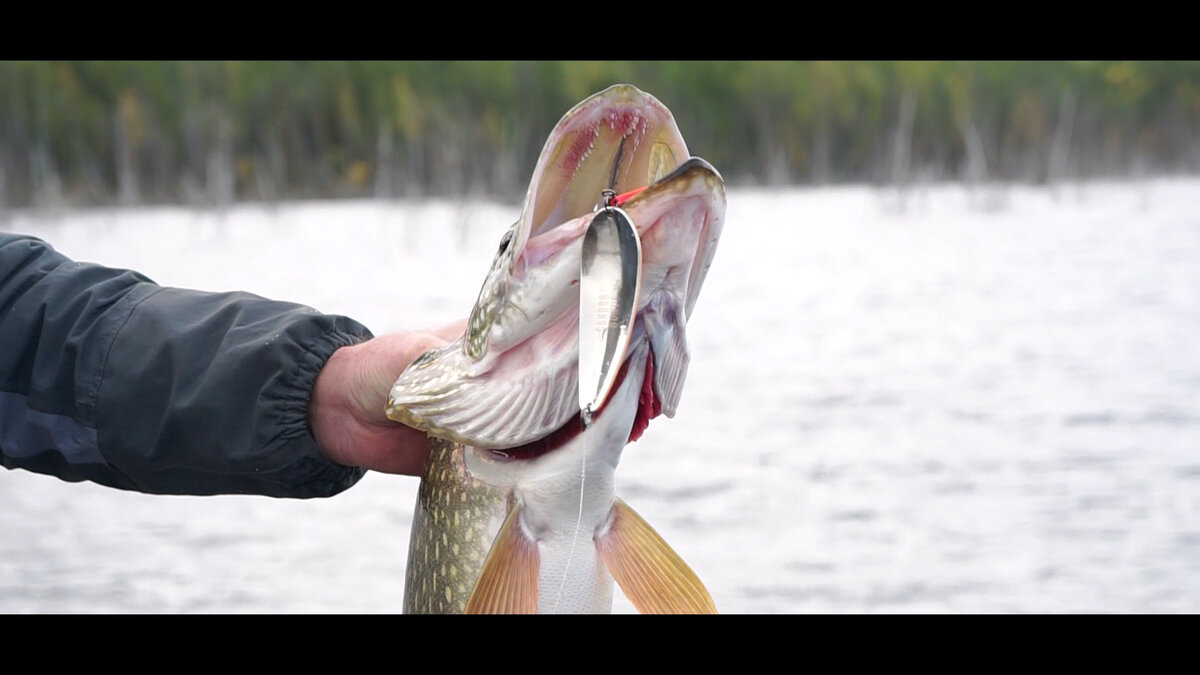 Личный архив. Кадр из фильма.