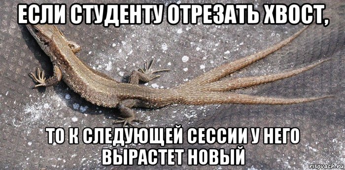 с сайта m.maybe.ru