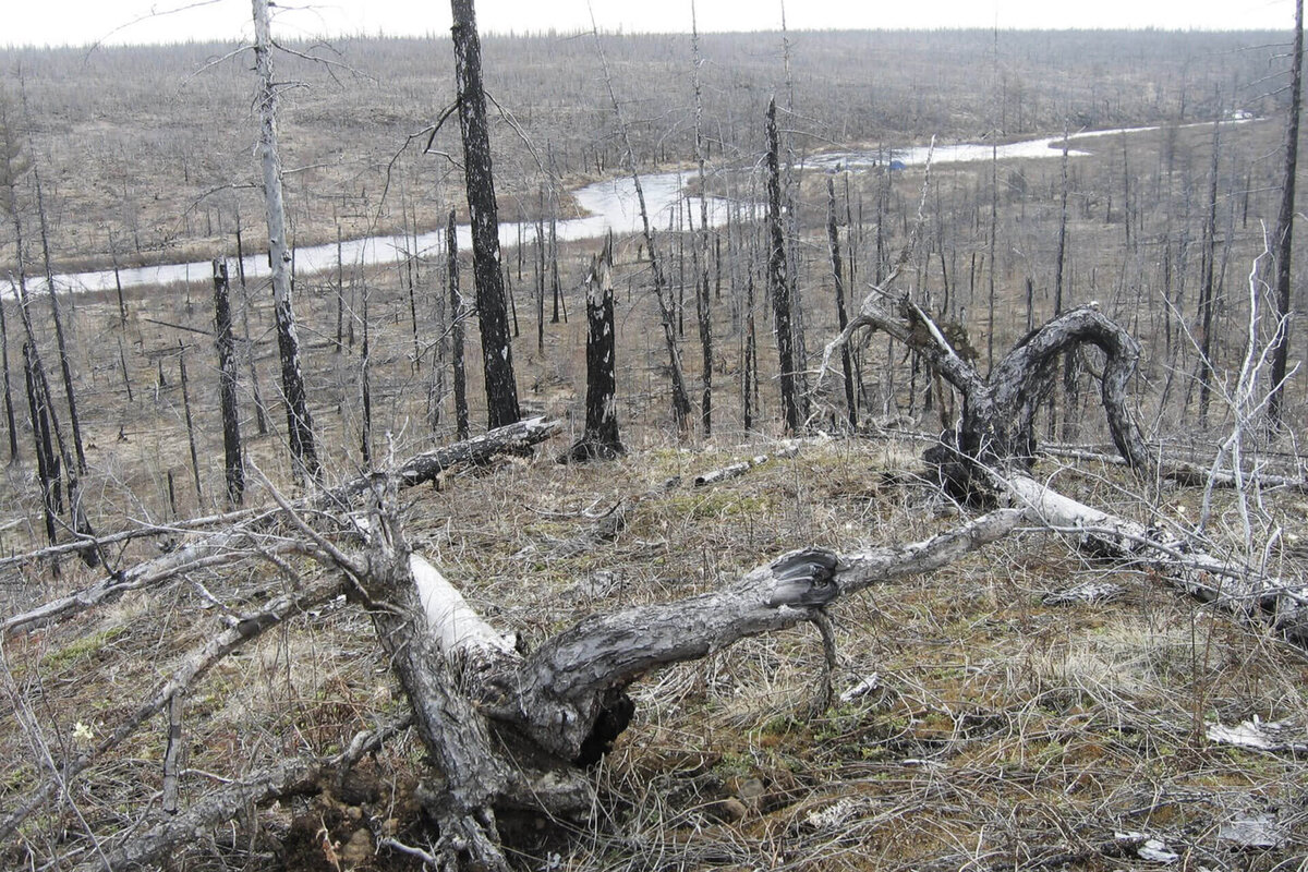 «Елою Черкечех» - именно так называют жители якутскую Долину смерти. Зверь здесь не водится, птица облетает проклятое место, от которого «стынет кровь» у всех, кто приблизится к нему. Множество людей, сгинувших здесь, а также экспертное мнение геологов и уфологов свидетельствуют об аномальности долины, расположившейся на правой стороне реки Вилюй. 
Народная легенда рассказывает о гигантского размера котлах, врытых глубоко в землю и образующих собой систему железных комнат. Материал куполов неизвестен, согласно свидетельствам очевидцев, их невозможно ни распилить, ни деформировать, а внутреннее пространство «дышит» плотным теплом даже в самую суровую стужу. Вокруг объектов процветает бурная и сочная растительность, превышающая человеческий рост в 1,5-2 раза. Путники, набравшиеся смелости переночевать в скрытом от глаз железном городе, вскоре заболевали и мучительно умирали – симптоматика стремительно развивающихся недугов походила на облучение радиацией.

Существует рассказ якута-старожила, волею судьбы оказавшегося на территории аномальной зоны. По его словам, арка, образованная «ушедшим» под землю гигантским котлом, ведет в систему подземных комнат, в одной из которых лежат трое «худых одноглазых людей в железных одеждах». Наличие инопланетного городища объясняется в устах жителей падением Тунгусского метеорита, который сформировал потаённое жилище существ внеземной цивилизации.

В копилке слухов Якутии имеются и подтверждения современников, так, отец с 14-летним сыном осуществляли сплав по реке Ойлудах, несущей свои воды к Елою Черкечех. Ночью они стали свидетелями необъяснимого природного явления: на противоположном берегу реки образовался странный, полупрозрачный купол, растянувшийся на несколько километров. Светящиеся шары, которые яркими всполохами «плясали» вокруг него, то вспыхивали, то угасали.

Остановившись метрах в пятидесяти, невольные очевидцы сделали несколько снимков на цифровой фотоаппарат, но вскоре были вынуждены покинуть свое убежище, так как несколько огней словно метнулись в их сторону. В дальнейшем, изучив снимки, исследователи подтвердят, что отец и сын стали свидетелями уникального природного явления, объяснений которому не существует.

Правительство Якутии пока не изъявило желание обеспечить грамотное и всестороннее изучение страшного места с привлечением экспертов. Поэтому «стонущий» неизведанный железный город медленно опускается под землю, запечатав в своих недрах историю своего происхождения и непрекращающиеся, по словам свидетелей, стоны пропавших людей.