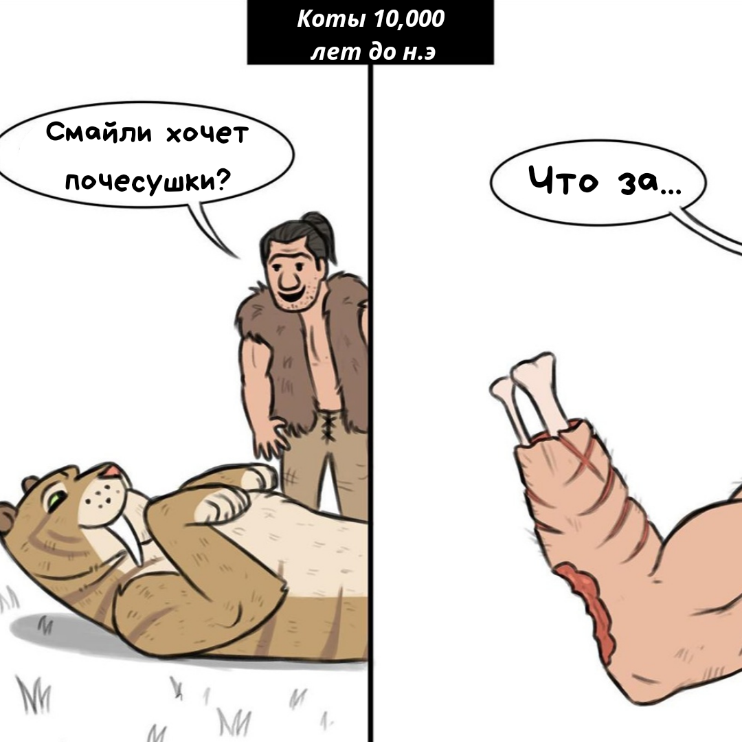 Источник: Instagram @funny_comix_rus