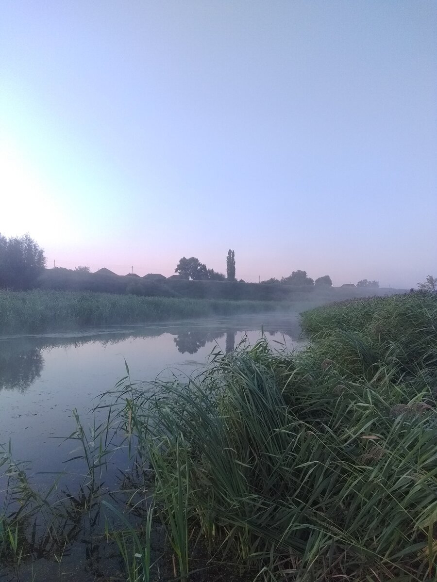 Утренний туман на речке.