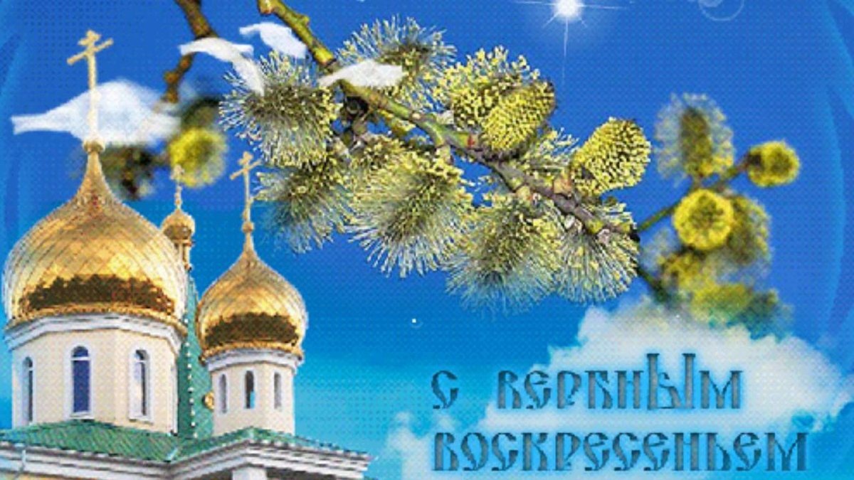 Картинка из интернета