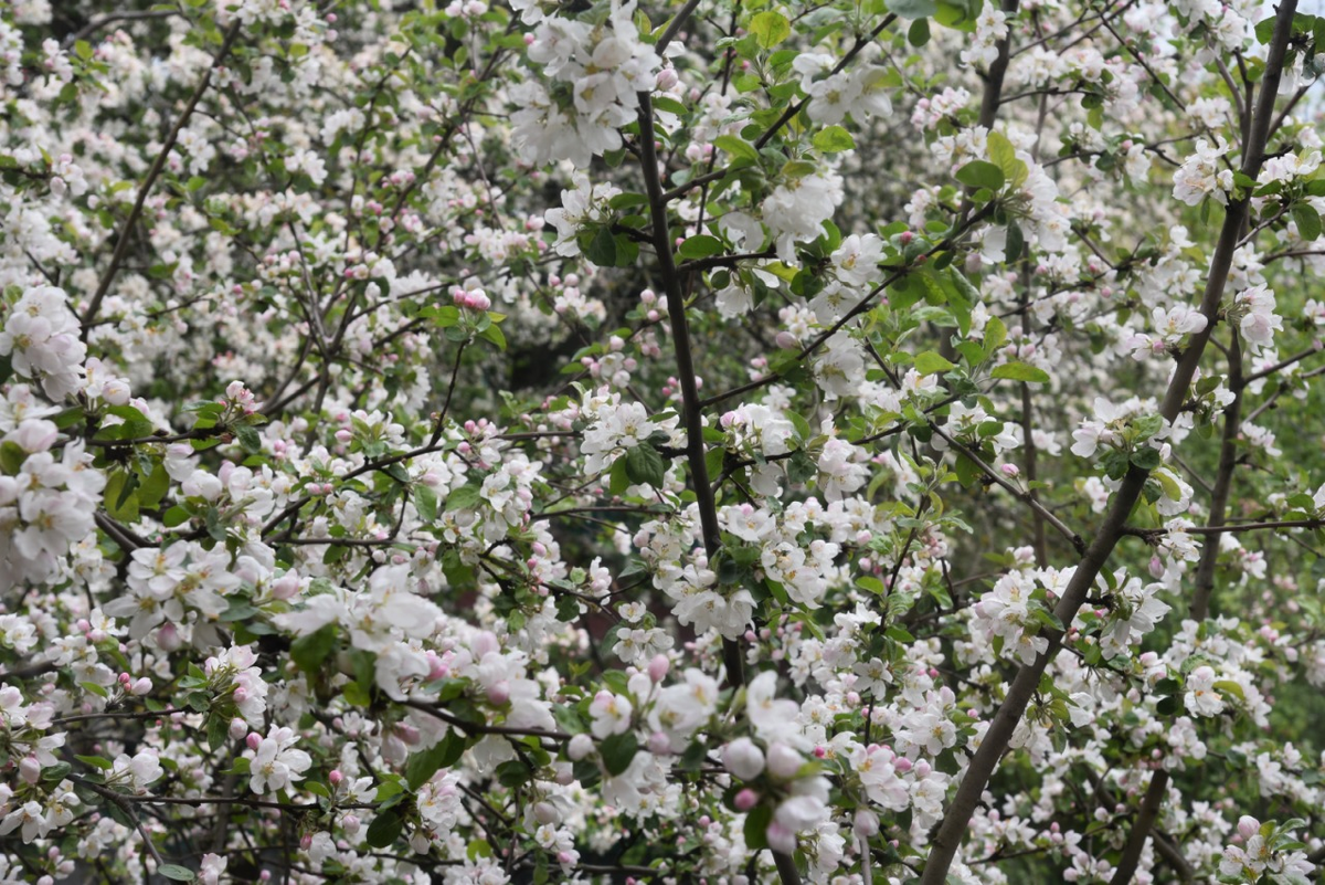 Вид из окна, личный архив