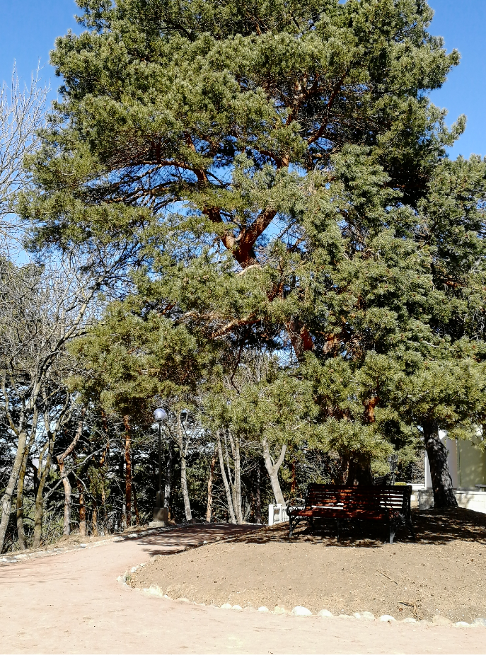 Терренкур в кисловодске фото