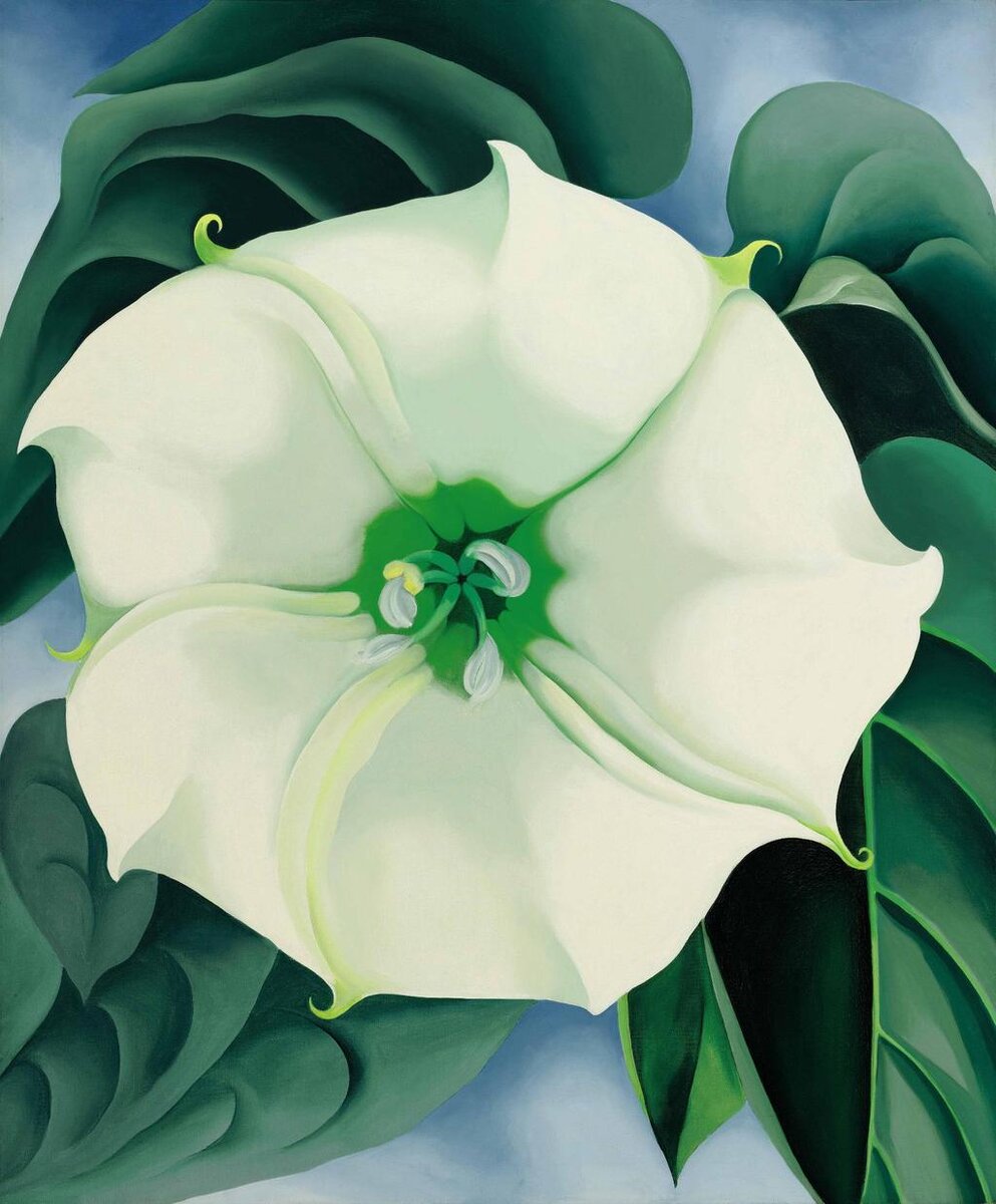 Georgia O'Keeffe (Дурман/Белый цветок № 1) .