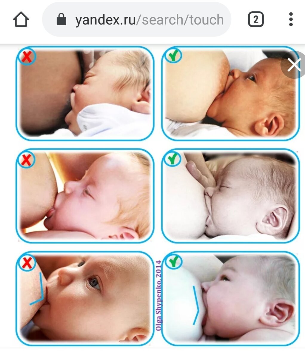 почему новорожденный сосет только одну грудь фото 31