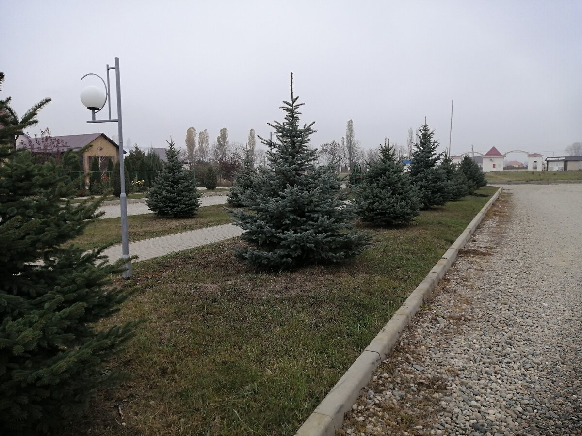 6 ноября. Краснодарский край. 9 градусов