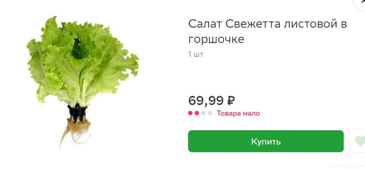 Вот такие салаты я покупаю зимой в супермаркетах