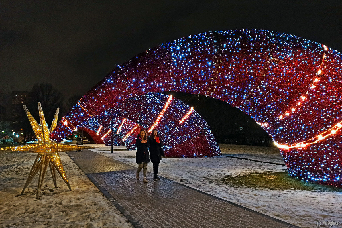 Парк ростокино медведи