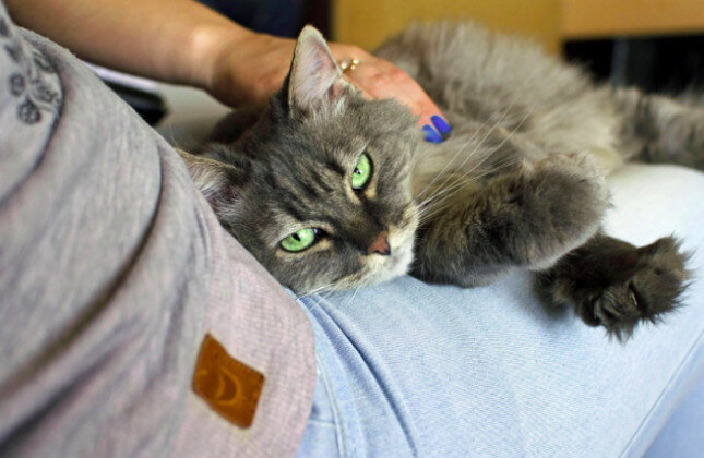 Источник: pinterest.com