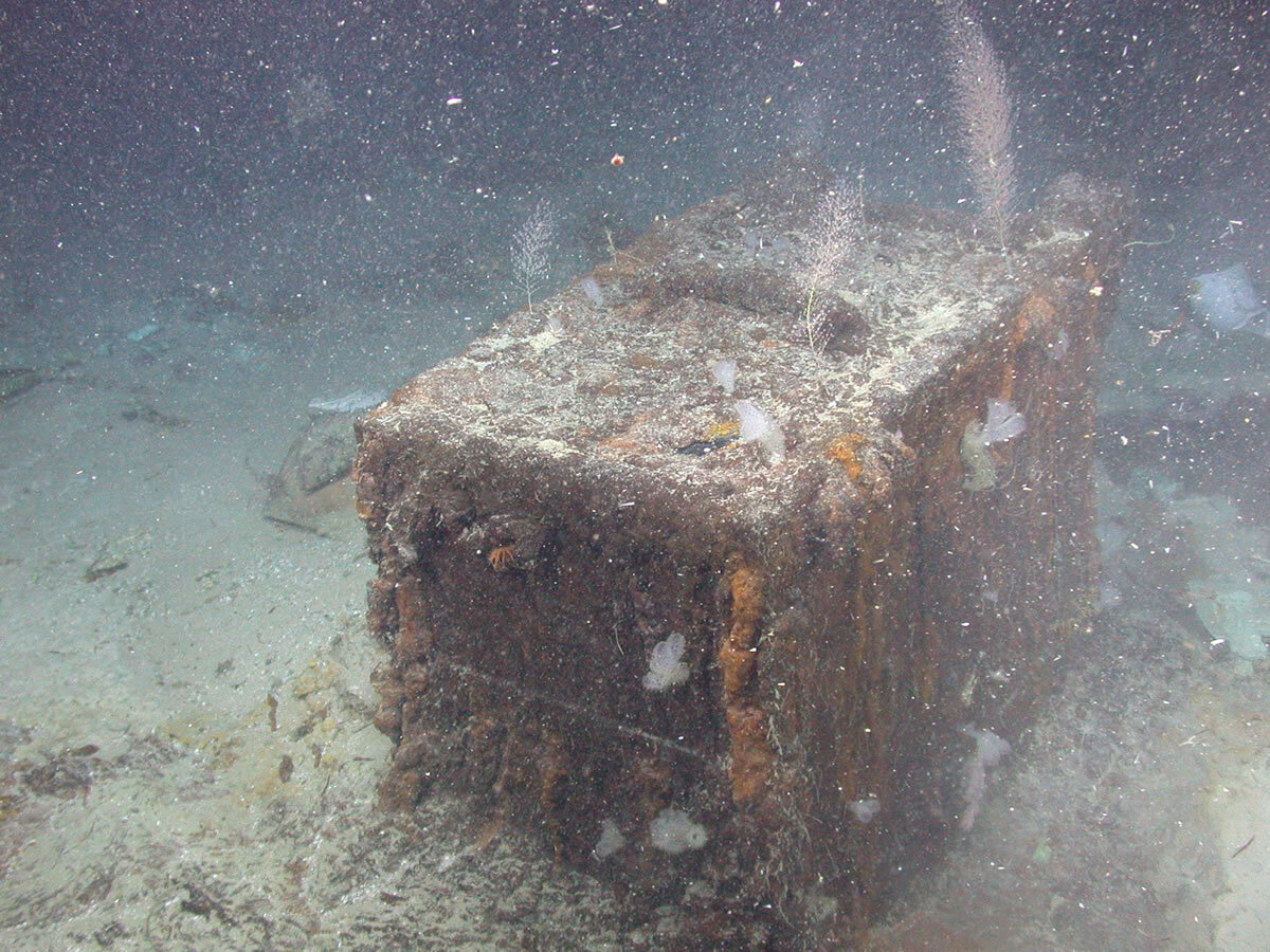 Дне со. Золото SS Central America. Пароход SS Central America. SS Центральная Америка (s.s. Central America). Сокровища парохода Центральная Америка