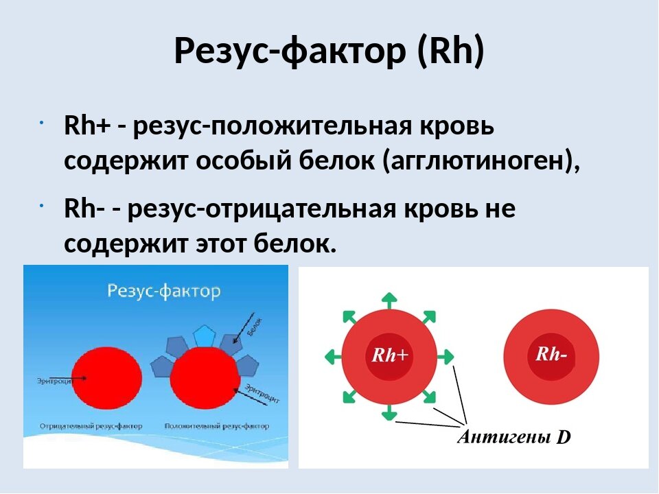 Новости центра