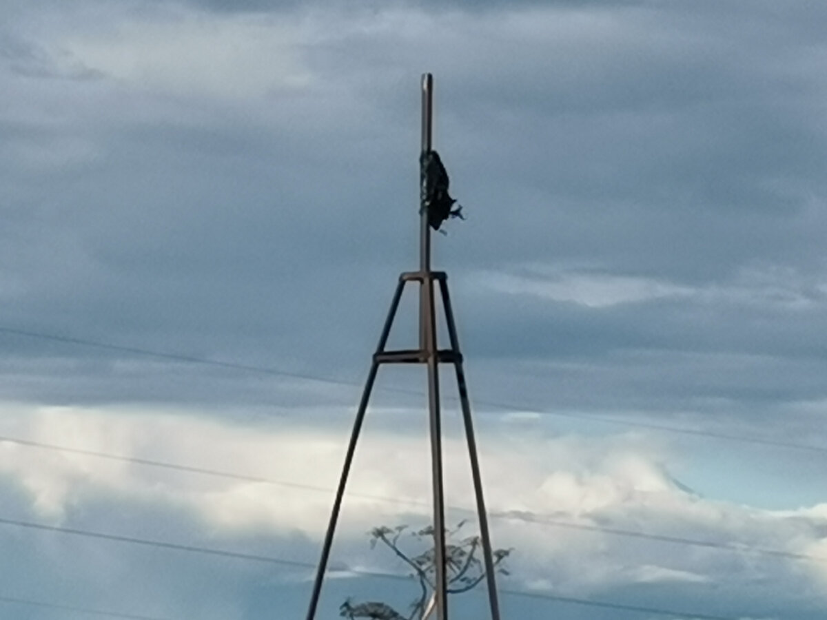 Пример геодезического репера, недалеко от города.