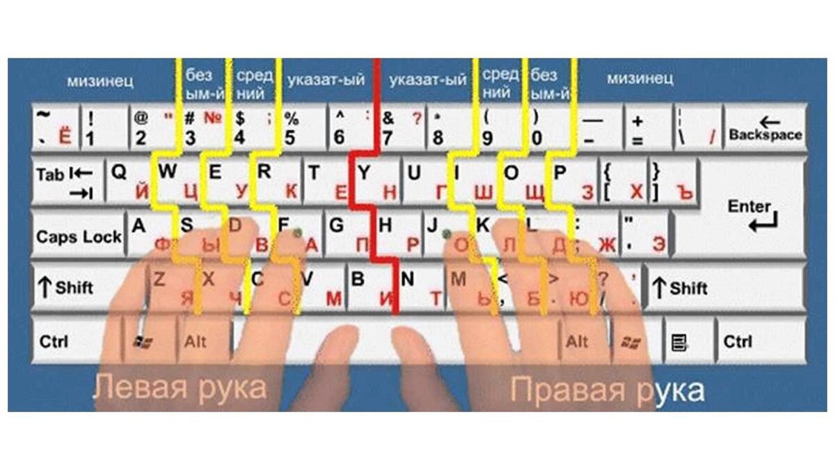 Схема расположения пальцев на клавиатуре при слепой печати