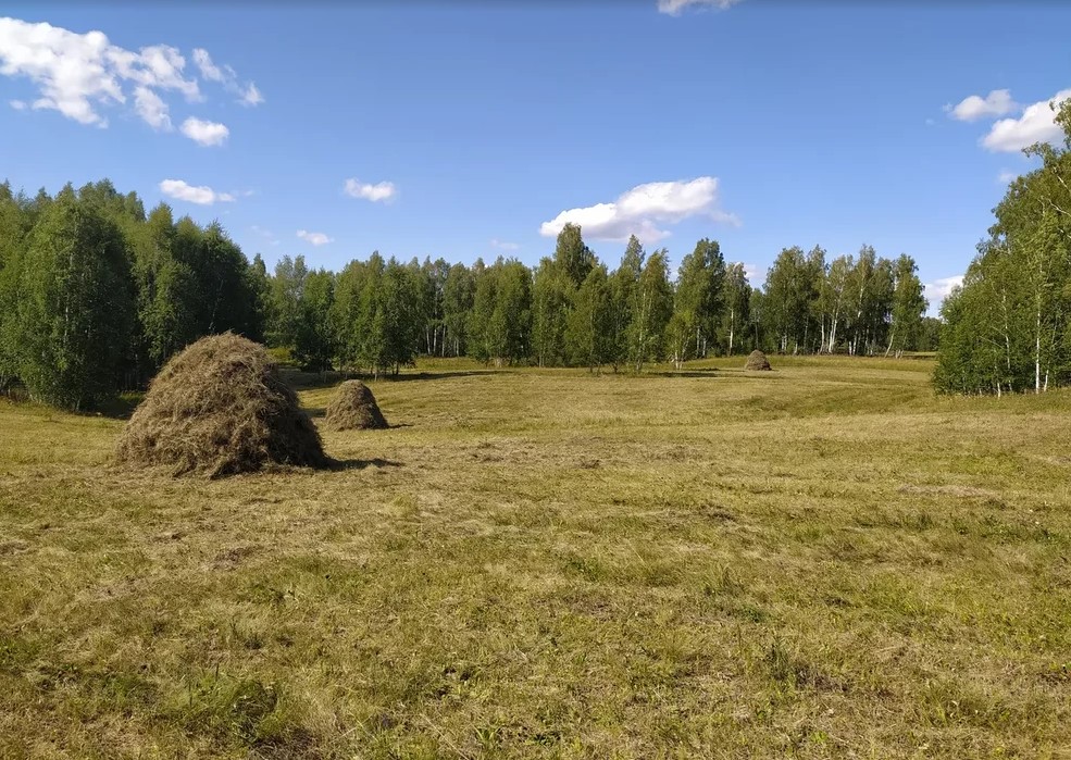 Я собираю сено, а Люксебург удивляет своей системой образования1