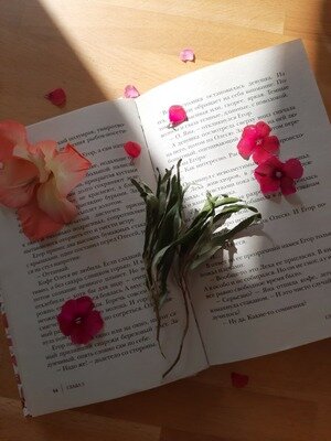 Все фото взяты с разрешения Ники💜