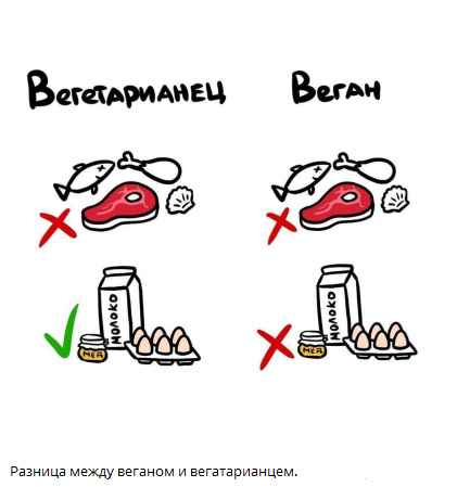взято из открытых источников