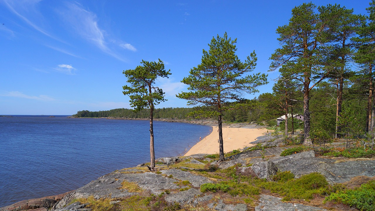 Белое море картинки фото