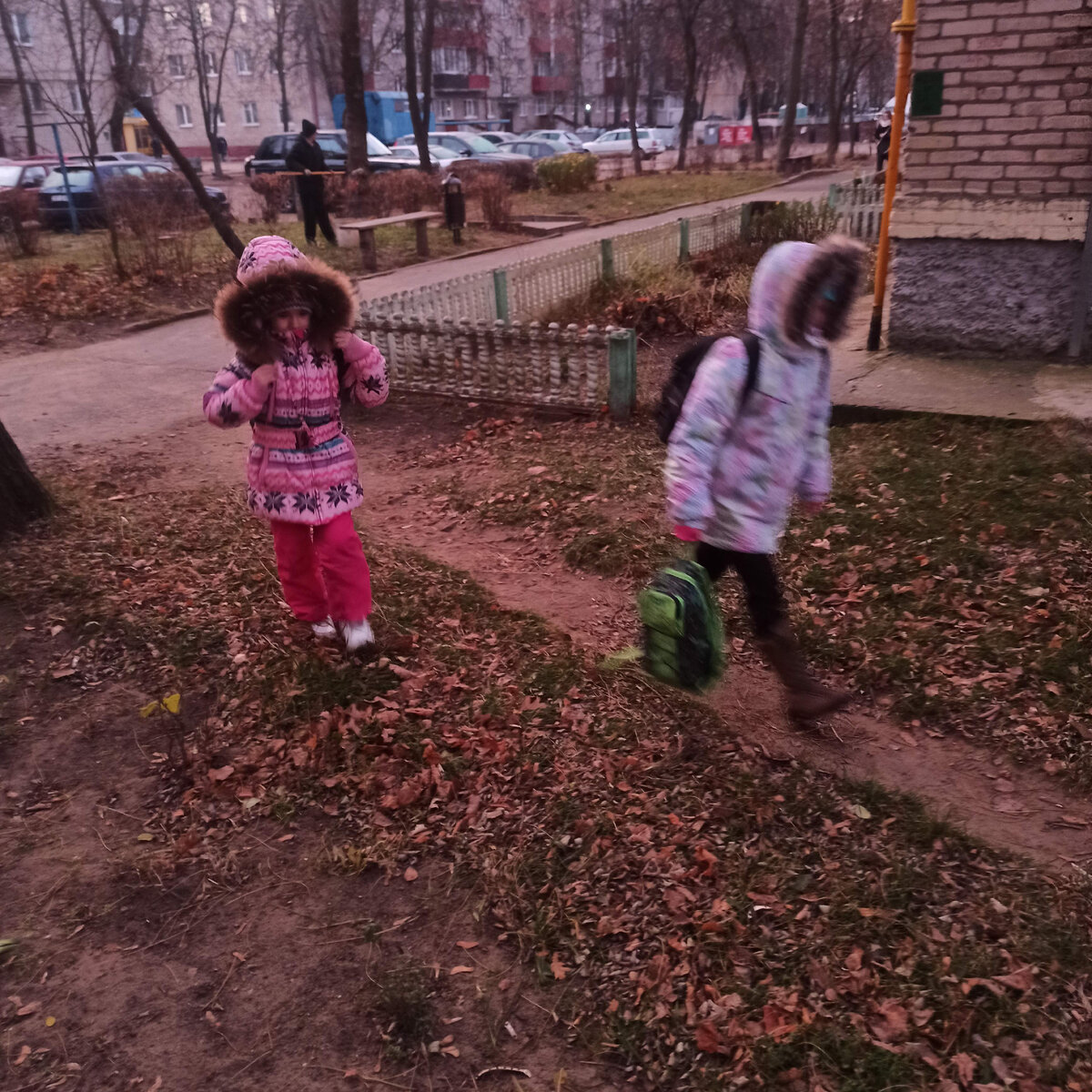 Мои школьники