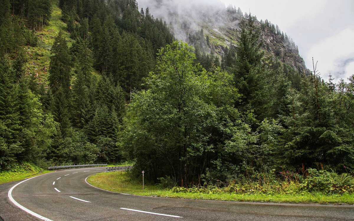 Яндекс.Картинки