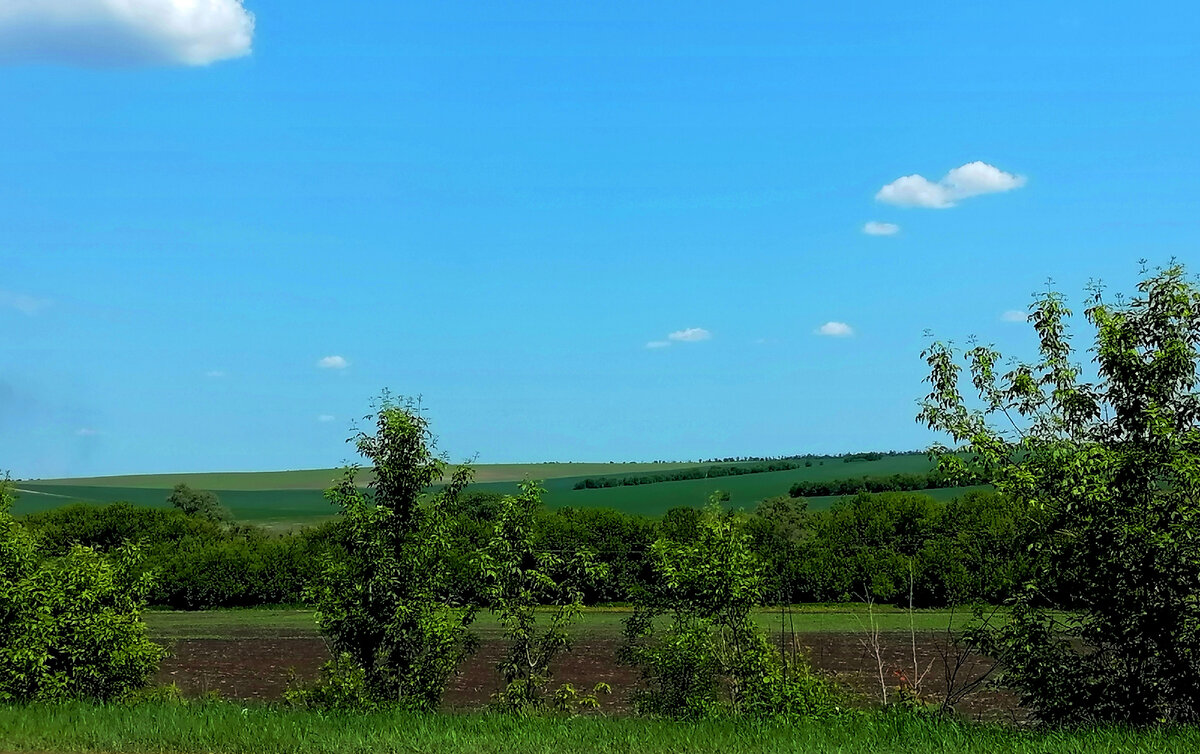 личное фото