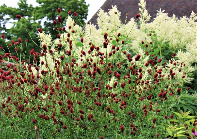 Фото с сайта: https://clck.ru/cHNJy