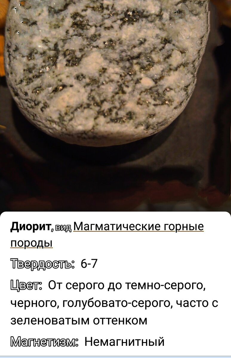 Фото автора статьи