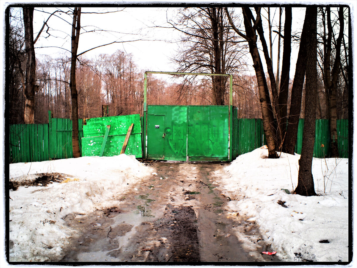 Фото автора