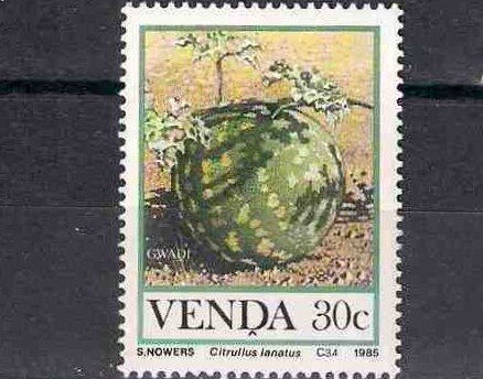 Почтовая марка Венды 1985 года, номер по каталогу Михель 114.