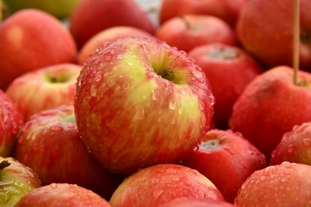 Рассказываем историю легендарного сорта яблок, который получен более века назад, и удивительные качества которого пока никому не удалось повторить.