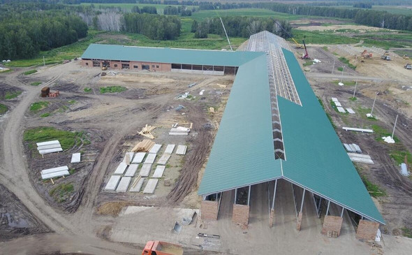 Начало возведния площадки «Сибирская Нива» (Фото: пресс-служба ГК «Эконива») 