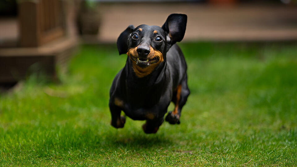 Фото: © Unsplash/James Watson