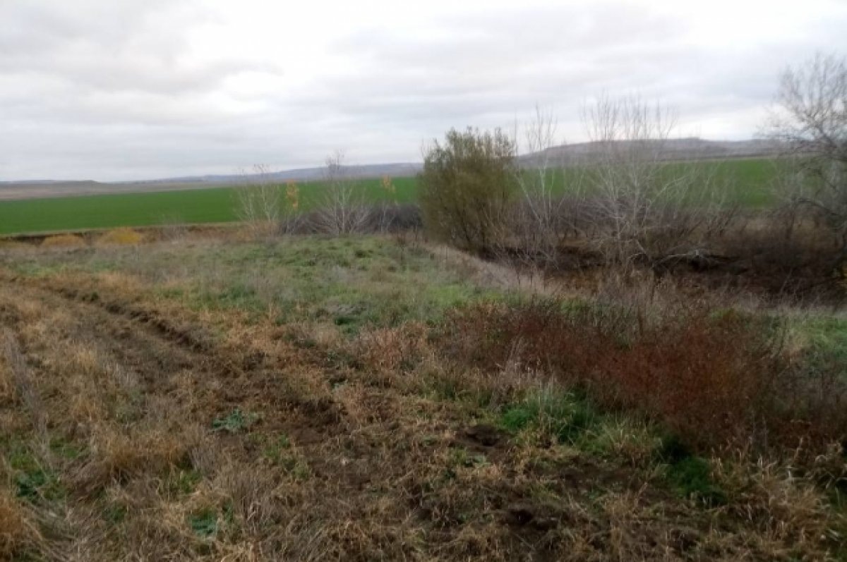    Прокуроры потребовали прекратить сельхозработы у реки Калаус на Ставрополье