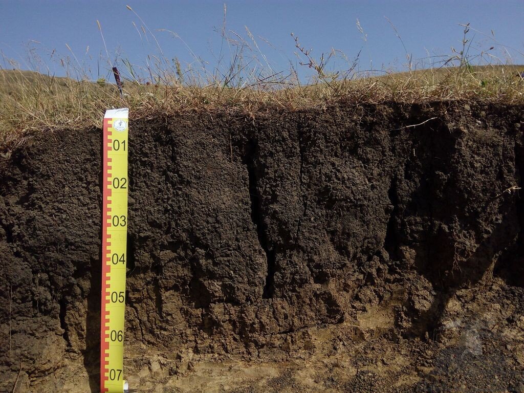 Почвообразующая, или материнская порода – это минеральный грунт, на котором формируется плодородный слой земли.-2