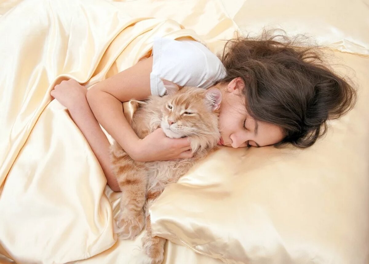 Девушка спит с кошкой