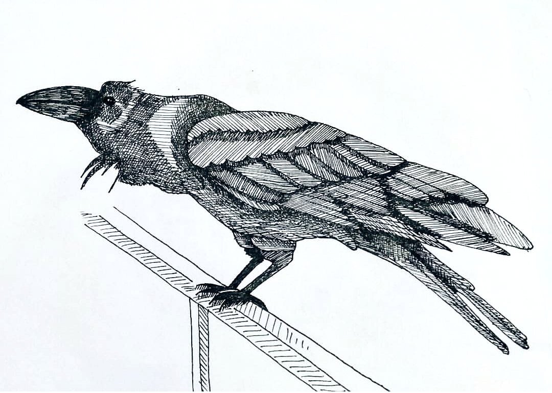 Ворон схема