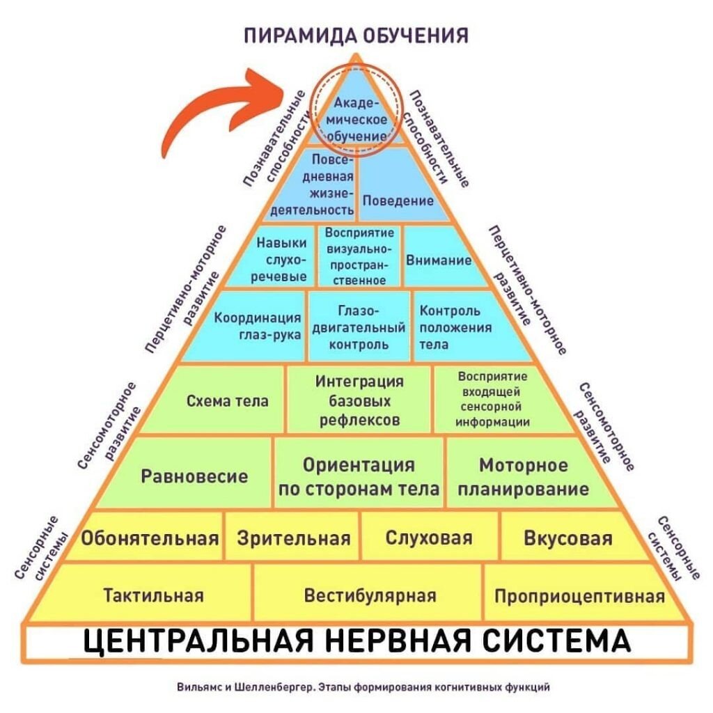 групповая гимнастическая пирамида к какому виду относится фото 99