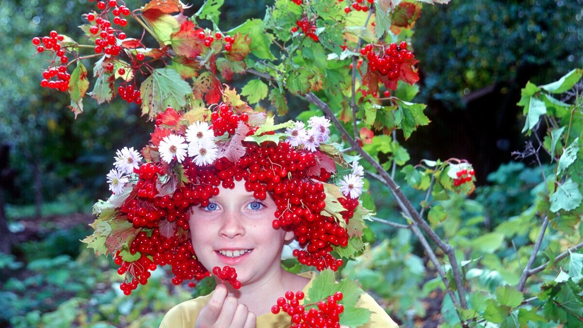    Калина