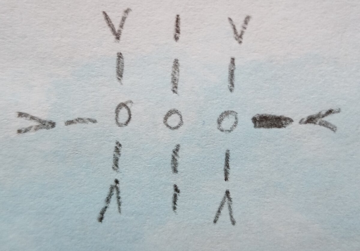 Первые два ряда ножки, сбн