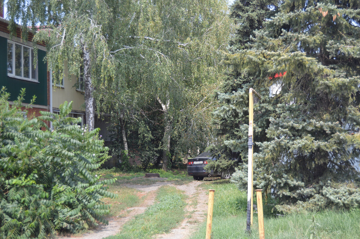 Фото автора. 13.08.2023. Это Кубань. Станица. Жара под сорок, даже машины прячутся в тенёчек.