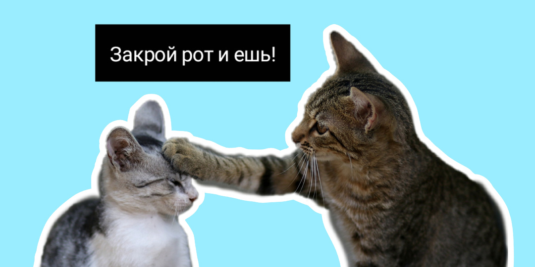 В каких двух случаях нельзя говорить «кушать»