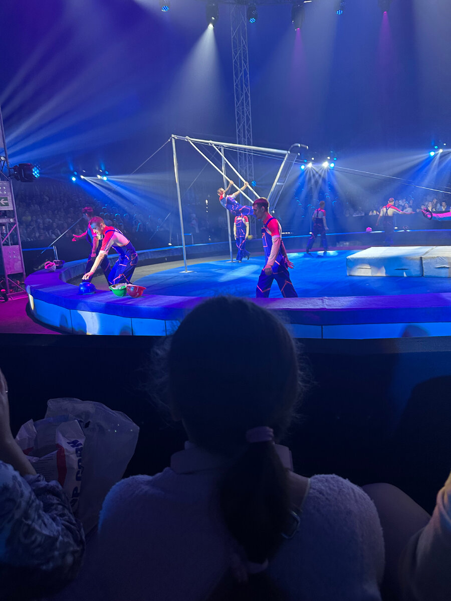 Цирковая программа «Улочки московские» в которой участвовали артисты Большего Московского государственного цирка и Росгосцирка 