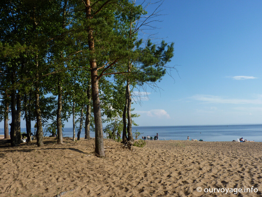 Комарово санкт петербург фото