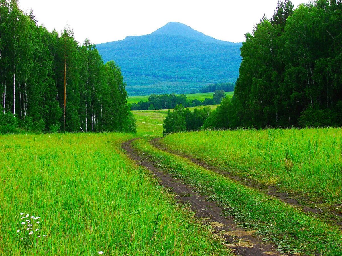 Лесу против. Кирель гора Белорецк. Гора Кирель. Белорецк. Джеркурай фото.